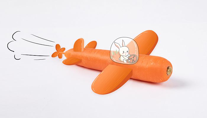 属兔的2023年运势如何什么运最好,今年属兔人的每月运势