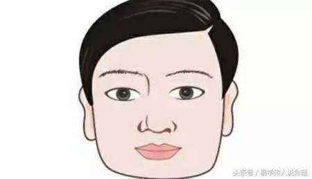 罗马鼻子男人面相,国字脸男人面相分析