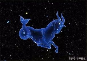 狮子座处女座桃花运,狮子座一见钟情的星座