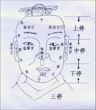 面相算命大全,看相算命大全