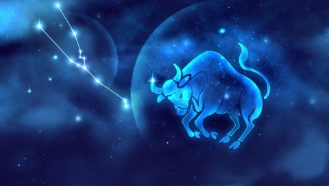 摩羯座女最配对的星座是什么星座,白羊座和什么座最配