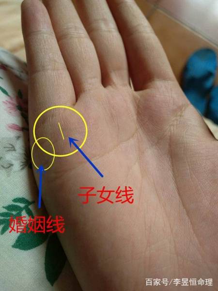 手相婚姻线和子女线区分,手相图解子女线
