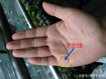 手相婚姻线和子女线区分,手相图解子女线