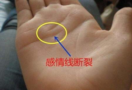 女人怎样看手相会离婚,手相怎么看女人
