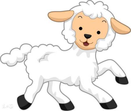 生肖羊的一生运势预测,属羊人一生运势及运程