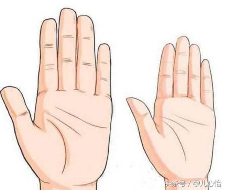 手指手相指节长短,手相中小拇指代表什么