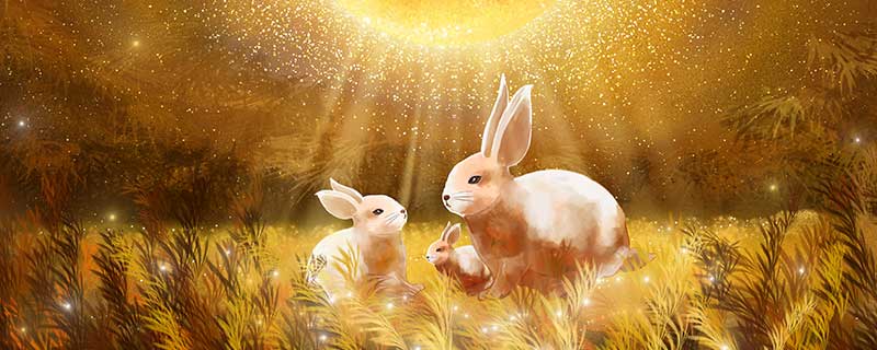 出生时属兔是什么时辰,属兔的时辰是几点