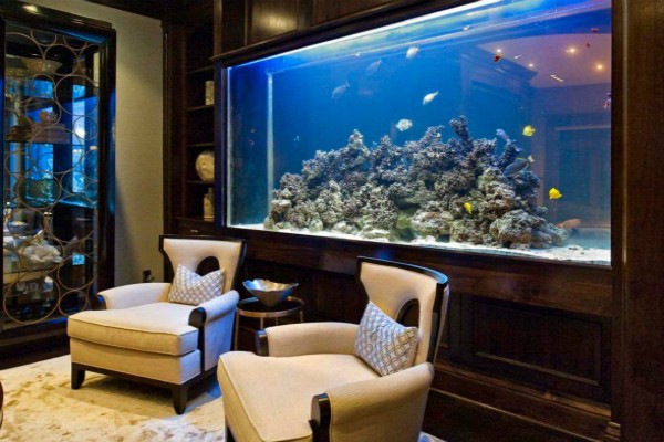 客厅鱼缸摆放风水,鱼缸位置的风水摆放客厅