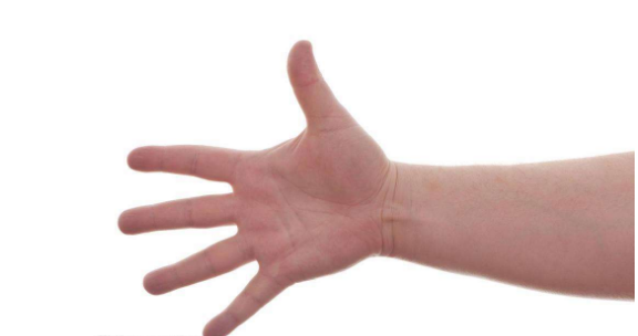 手纹算命十指都是簸箕,手相斗和簸箕有什么说法