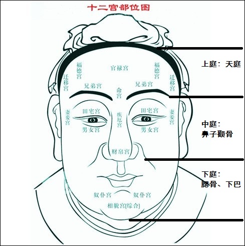 两个人面相合适,怎么从面相看两个人合不合