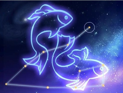 双鱼天蝎是什么星象的星座,星座三傻三精三浪