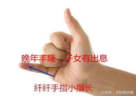 小拇指短的手相图,手掌小拇指短是什么手相