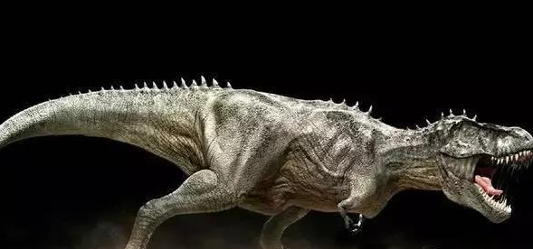 摩羯座的宠物恐龙,十二星座摩羯是什么动物