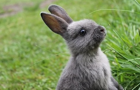 1963年属兔2023年有意外发生吗,1963年属兔能活多少岁