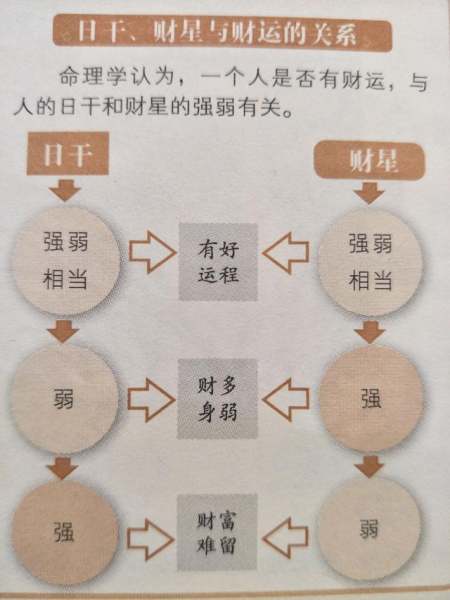 怎么看一个人有财运,看一个人的财运是看面部哪里
