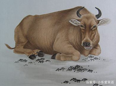 属牛犯太岁佩戴,属马的鼠年犯太岁佩戴什么