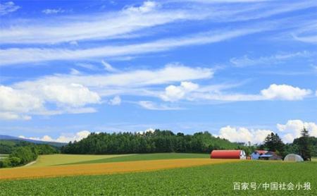 十二月生鼠生肖运程,生肖鼠每月运势详解