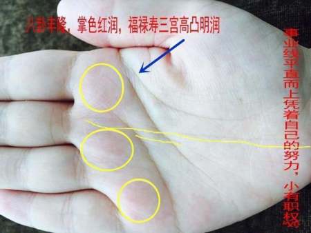 福禄寿准吗手相,不要相信手相