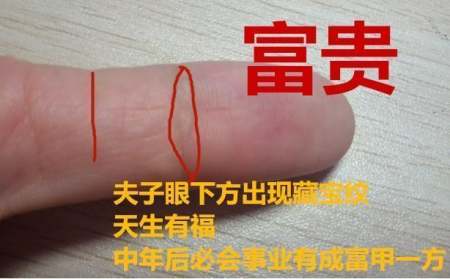 福禄寿准吗手相,不要相信手相