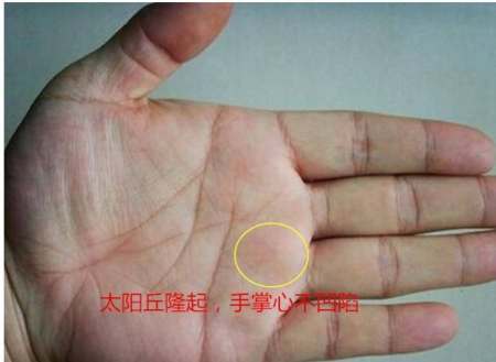 梦见抓到兔子是什么意思周公解梦,爱情是处女座的软肋