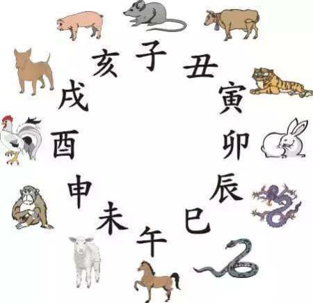 属相为啥第一个是老鼠,十二生肖排序为什么鼠排第一