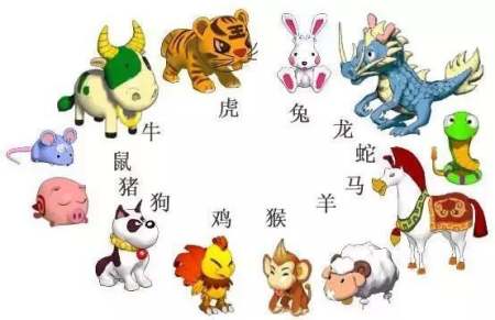 属相为啥第一个是老鼠,十二生肖排序为什么鼠排第一