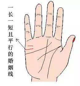 姻缘线两条平行,婚姻线两条一长一短