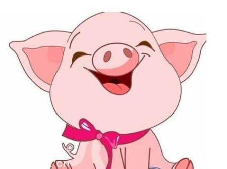 生肖猪几时出生最好,属猪的出生在什么时辰最好