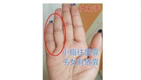 小拇指分的特别开手相,手相中小拇指代表什么